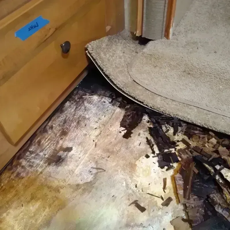 Wood Floor Water Damage in Kennett, MO